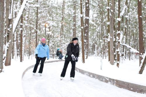 Two people ice skating on a snowy path through a forest, surrounded by trees dusted with snow.