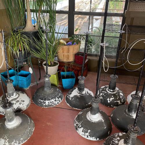 A collection of metal plant stands with round bases, surrounded by colorful pots and greenery near a window.