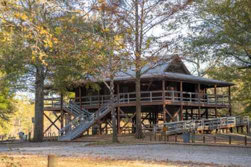 A wooden cabin on stilts surrounded by trees, featuring a staircase and a spacious deck.
