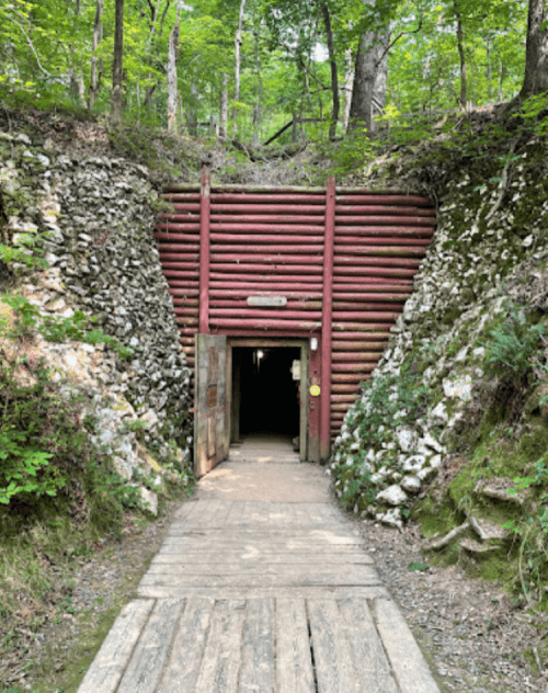 A wooden entrance to a cave surrounded by rocky terrain and lush greenery, with a path leading inside.