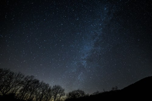 A starry night sky filled with countless stars, with silhouettes of trees at the bottom and a hint of the Milky Way.