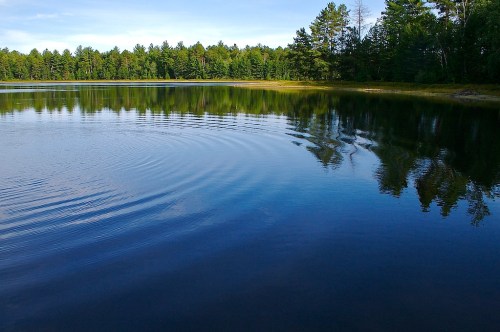 A serene lake surrounded by lush green trees, with gentle ripples on the water's surface reflecting the sky.