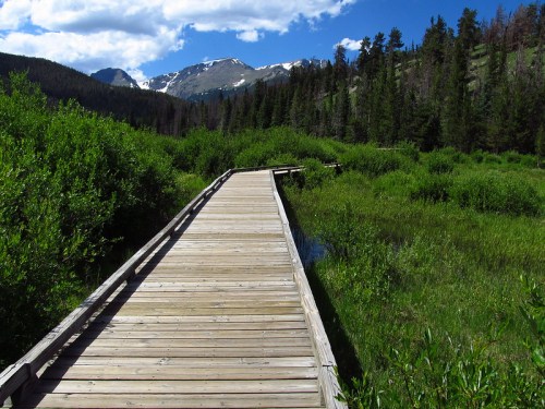 A wooden boardwalk leads through lush green vegetation, with mountains and blue skies in the background.