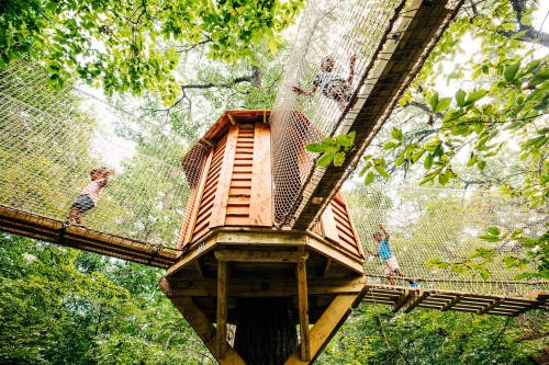 Children play on a treehouse bridge surrounded by lush green trees, enjoying a fun outdoor adventure.