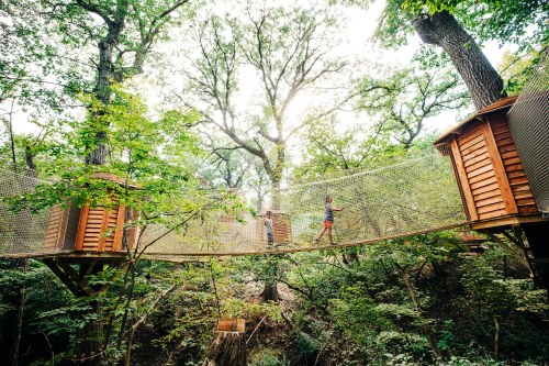 Two people walk on a wooden bridge connecting treehouses, surrounded by lush green trees and sunlight filtering through.