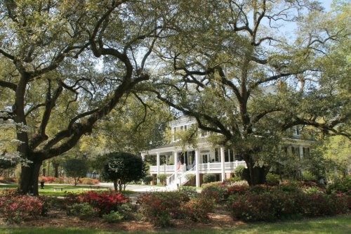 A charming house surrounded by lush trees and colorful flowers in a serene garden setting.