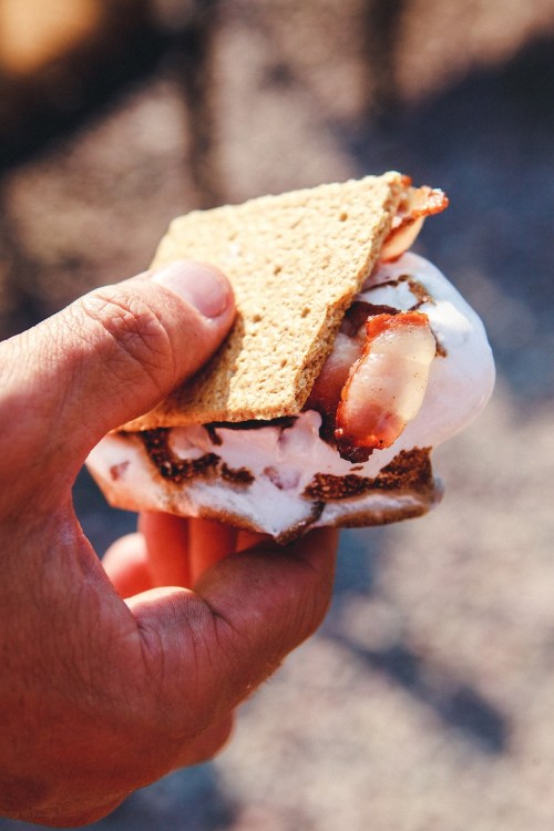 A hand holding a s'more with toasted marshmallow and bacon between two graham cracker pieces.
