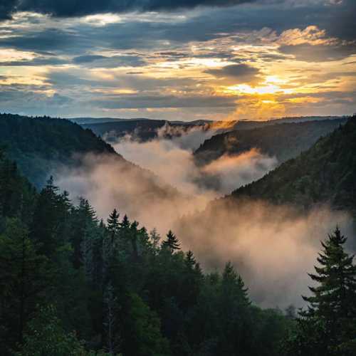 A misty valley at sunset, surrounded by lush green forests and distant mountains under a colorful sky.