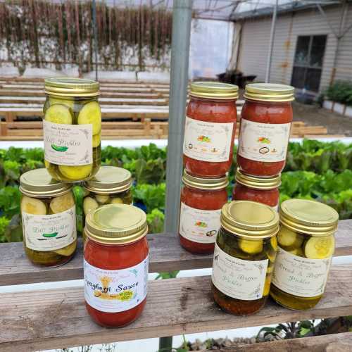 A display of jars filled with various sauces and pickles, arranged on a wooden shelf in a greenhouse setting.