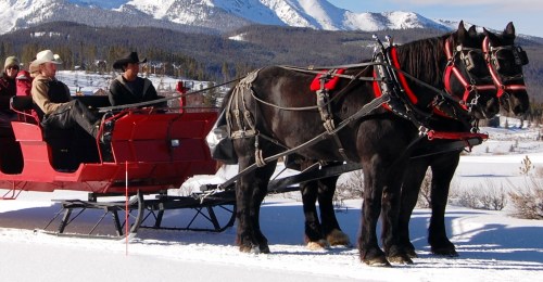 A horse-drawn sleigh with passengers travels through a snowy landscape, surrounded by mountains.