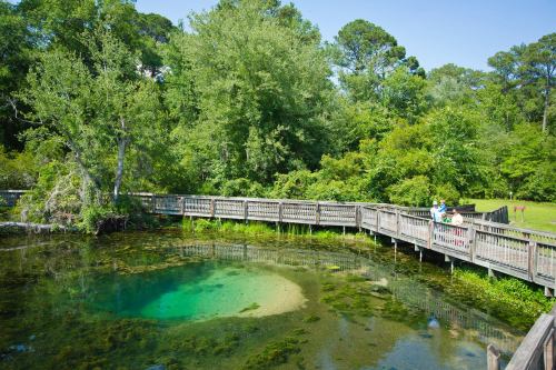 A wooden boardwalk winds through lush greenery beside a clear, blue spring in a serene natural setting.