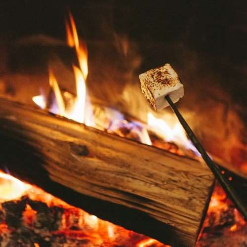 A toasted marshmallow on a stick, held over a crackling campfire with glowing flames and burning logs.