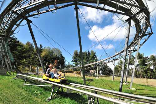 Two people ride a summer toboggan on a winding track surrounded by trees and blue skies.