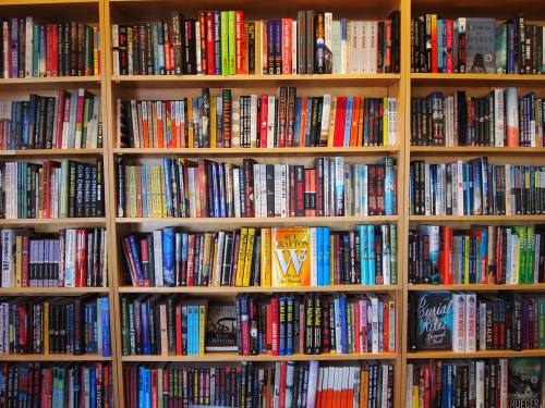 A colorful bookshelf filled with a variety of books in different genres and sizes.