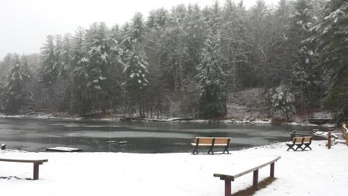 A snowy landscape featuring a frozen lake, surrounded by evergreen trees and empty benches along the shore.
