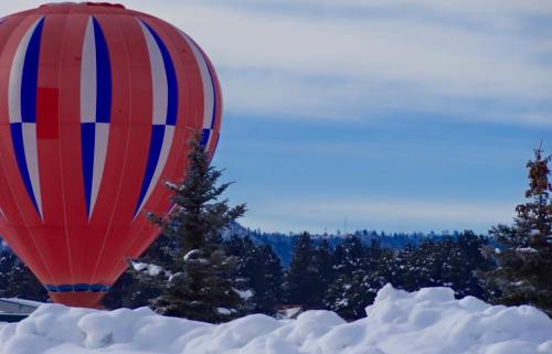 A colorful hot air balloon rises above snowy terrain and evergreen trees under a cloudy sky.