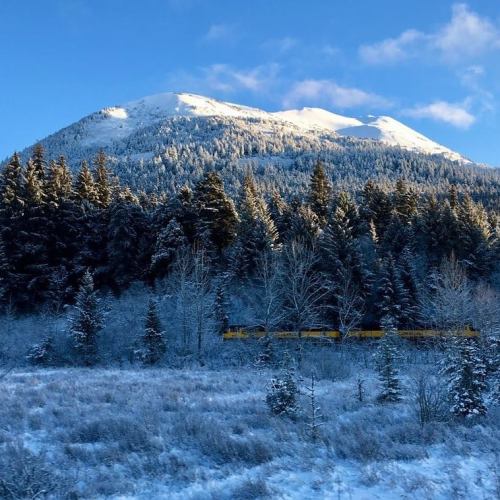 A snowy landscape with a mountain in the background and a train passing through a forest of evergreen trees.