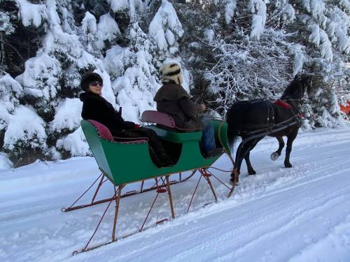 Two people in a colorful sleigh pulled by a horse, surrounded by snow-covered trees.