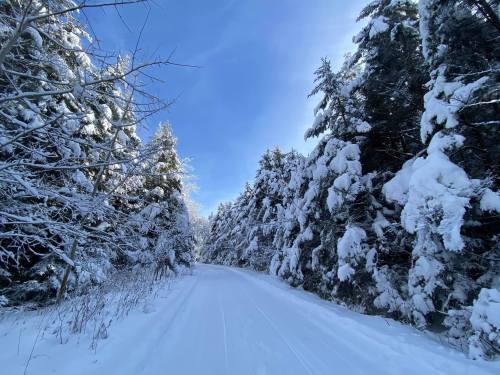 A snow-covered path surrounded by trees blanketed in white snow under a clear blue sky.