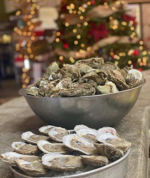 A bowl of fresh oysters, some shucked and displayed on a plate, with a festive tree in the background.