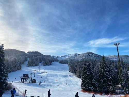 A snowy ski resort with people skiing, surrounded by tall evergreen trees and mountains under a clear blue sky.