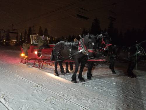 Two black horses are harnessed to a red sleigh in a snowy landscape at night, with ski lifts in the background.