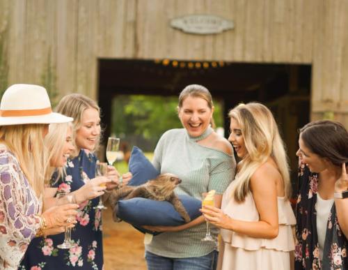A group of women joyfully gather around a woman holding a sloth, enjoying drinks in a rustic outdoor setting.