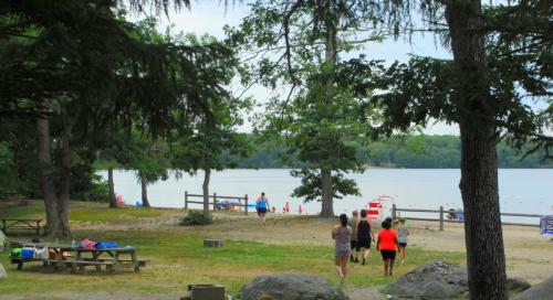 A sandy beach by a lake, with people walking and trees surrounding the area, creating a peaceful outdoor scene.
