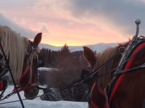Two horses with harnesses stand in the snow, facing a colorful sunset over distant mountains.