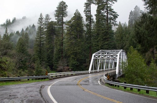 A white metal bridge curves over a wet road, surrounded by tall green trees and misty mountains in the background.