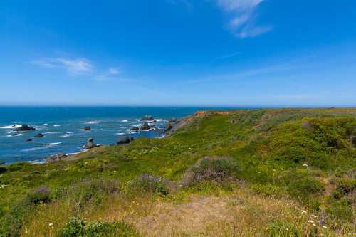 A scenic coastal view with lush green hills, rocky shores, and a clear blue sky over the ocean.