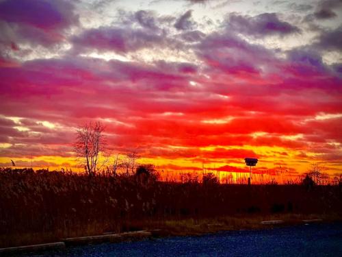 Vibrant sunset with red and orange hues, silhouetted trees, and a distant structure against a cloudy sky.