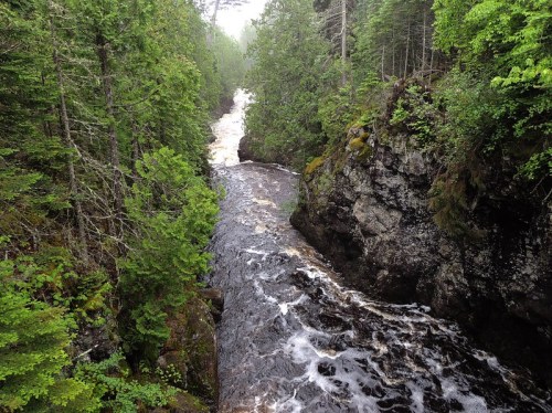 A winding river flows through a lush green forest, surrounded by rocky cliffs and trees.