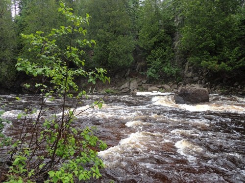 A rushing river flows through a forested area, with green foliage and a large rock visible in the water.