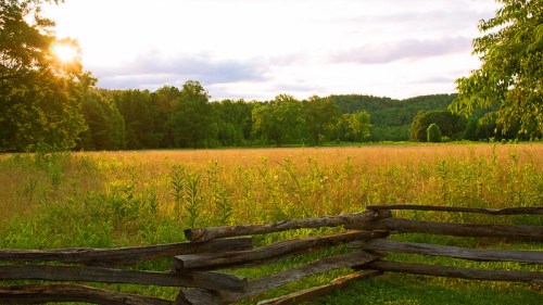 A sunlit field with tall grass and trees, framed by a rustic wooden fence under a cloudy sky.