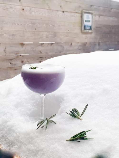 A purple cocktail in a coupe glass sits on a snowy surface, with a few sprigs of greenery nearby.