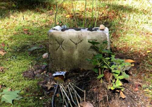 A weathered stone marker with symbols, surrounded by grass, small rocks, and twigs in a natural setting.