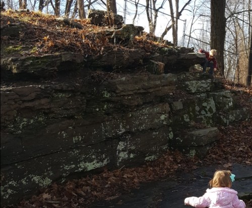 Two children explore a rocky outcrop in a wooded area, surrounded by fallen leaves and trees.
