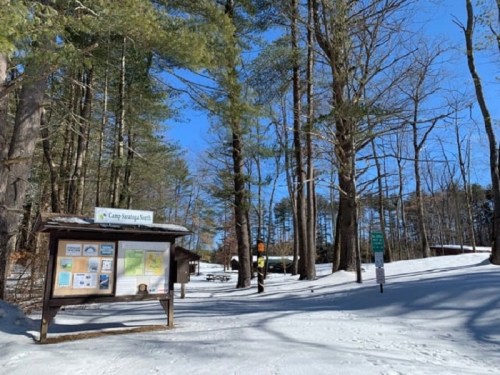 Snow-covered path leading to a camp sign surrounded by tall trees under a clear blue sky.