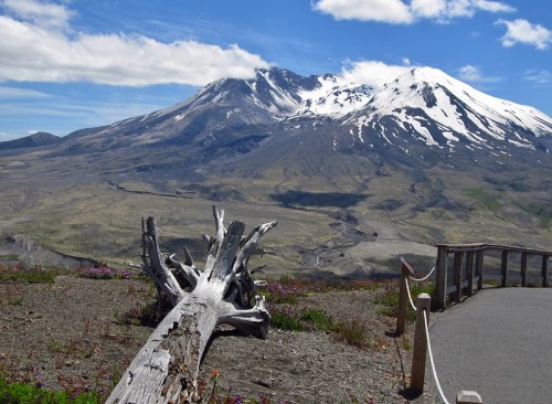 A scenic view of a snow-capped mountain with a log in the foreground and a clear blue sky above.