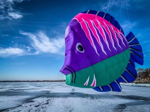 A large, colorful fish-shaped kite flying over a frozen lake under a blue sky with wispy clouds.