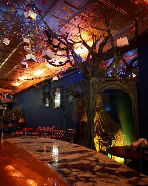 A cozy café interior with a tree feature, fairy lights, and decorative elements creating a whimsical atmosphere.