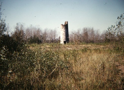A weathered stone tower stands amidst tall grass and sparse trees under a clear blue sky.