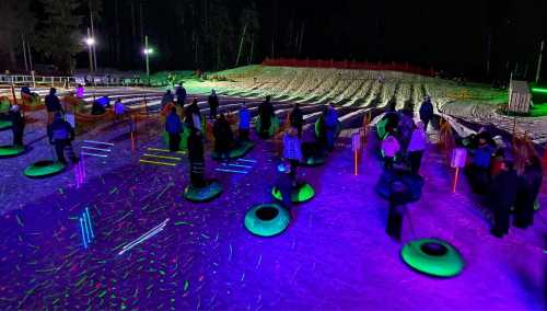 A nighttime scene of people tubing on a snowy slope, illuminated by colorful lights and surrounded by trees.