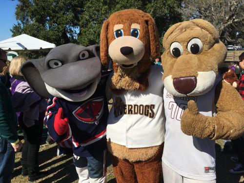 Three mascots pose together at an outdoor event, surrounded by people and trees. One is a shark, another a dog, and the last a bear.