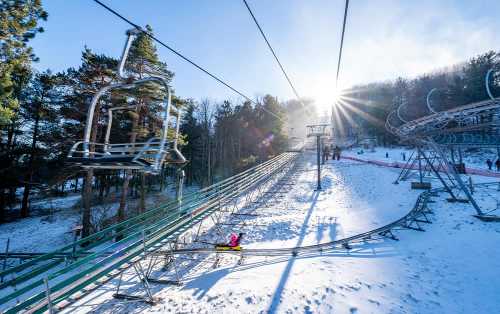 A ski lift ascends a snowy slope, surrounded by trees, with sunlight shining through the branches.