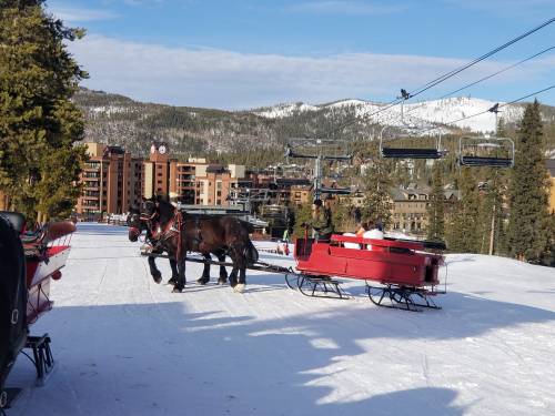 A horse-drawn sleigh on snowy terrain with a ski resort and mountains in the background.