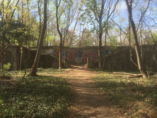 A wooded path leads to a graffiti-covered wall, surrounded by trees and greenery.