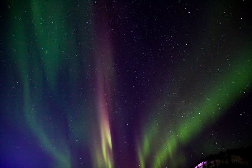 A vibrant display of the Northern Lights with green and purple hues against a starry night sky.