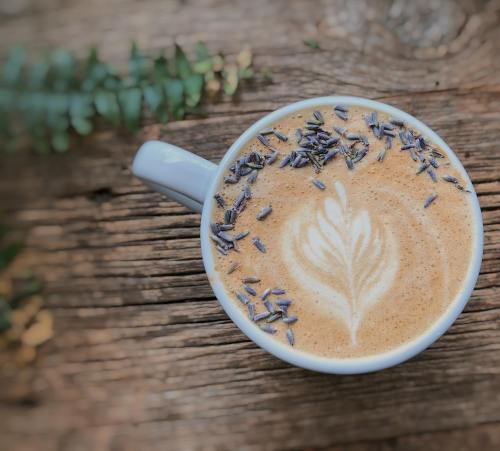 A cup of coffee topped with lavender and a leaf design, resting on a rustic wooden surface with greenery nearby.